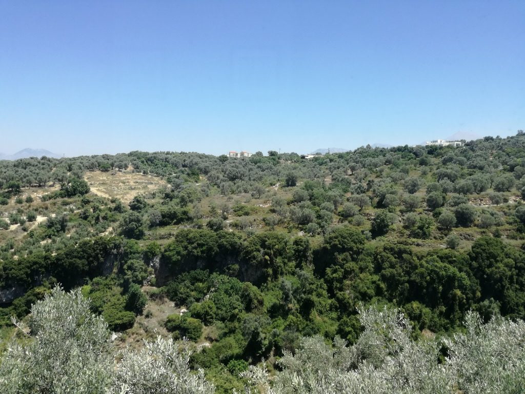 η Ταβέρνα μας